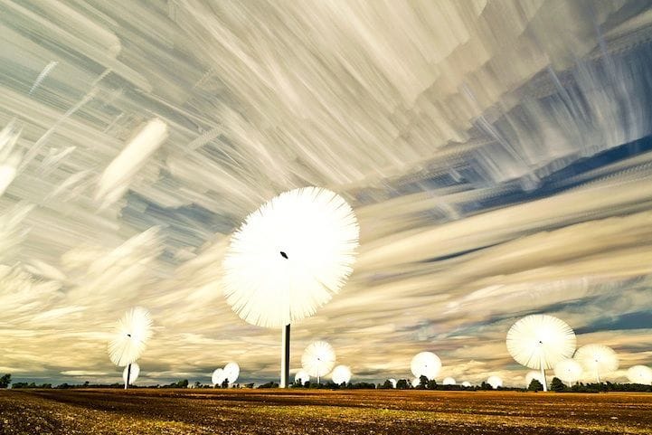 Artwork Title: Land Of The Giant Lollipops