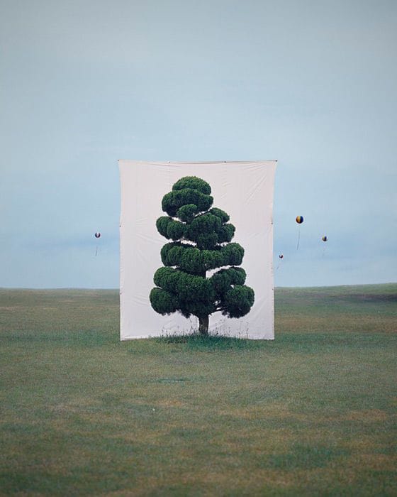 Artwork Title: Tree #2