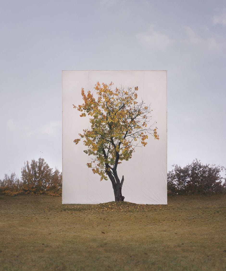 Artwork Title: Tree #8