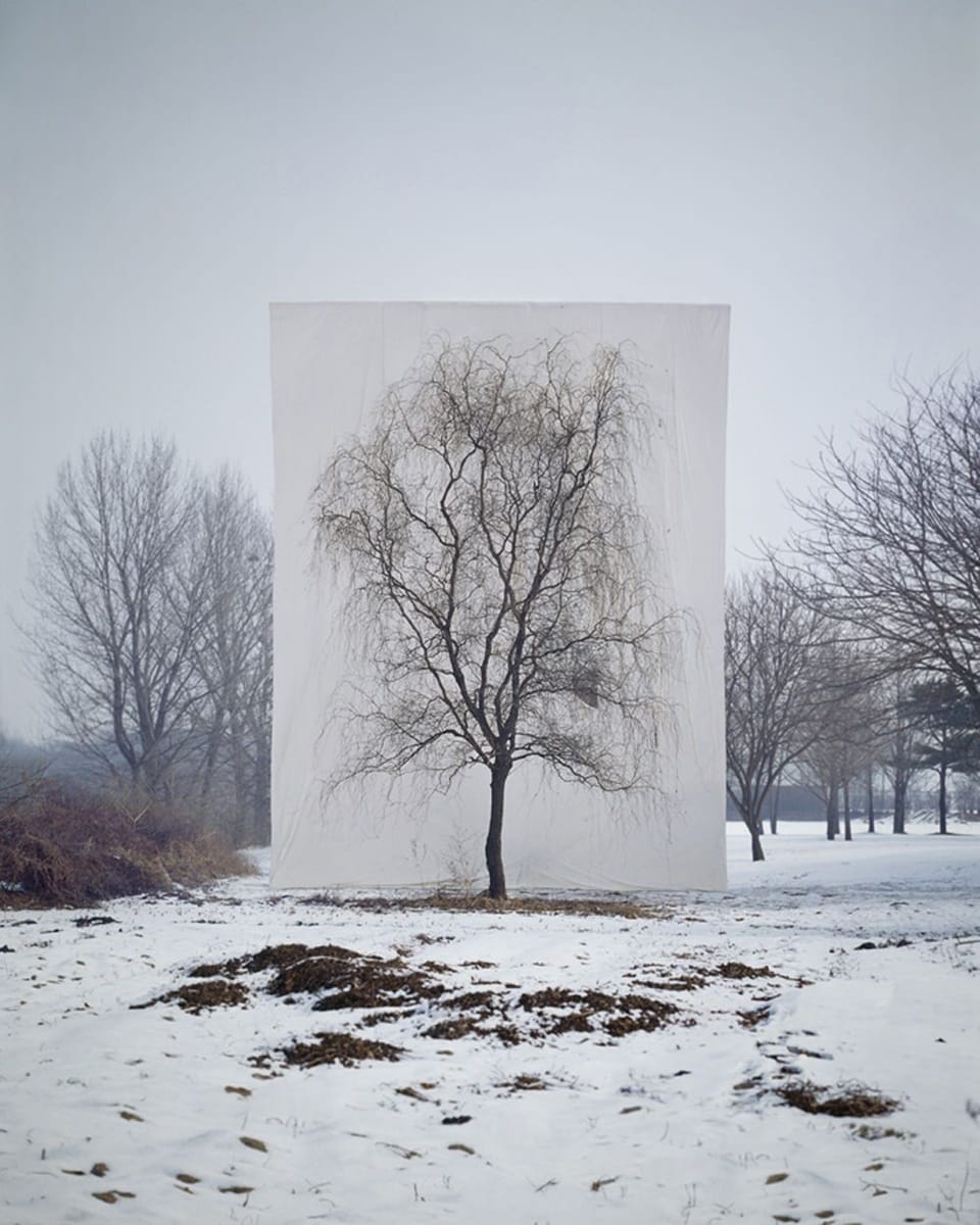 Artwork Title: undefined