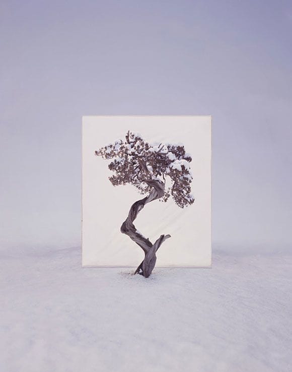 Artwork Title: Tree #12
