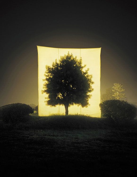 Artwork Title: undefined