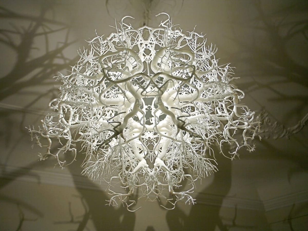 Artwork Title: Forms In Nature