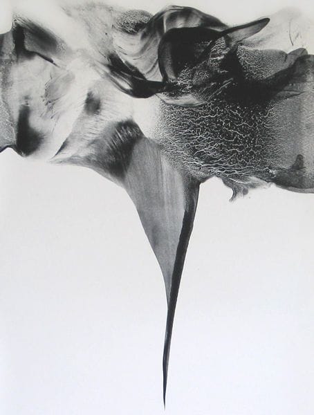 Artwork Title: Needler (corpus 009)