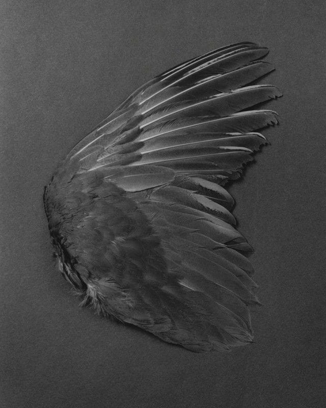 Artwork Title: undefined