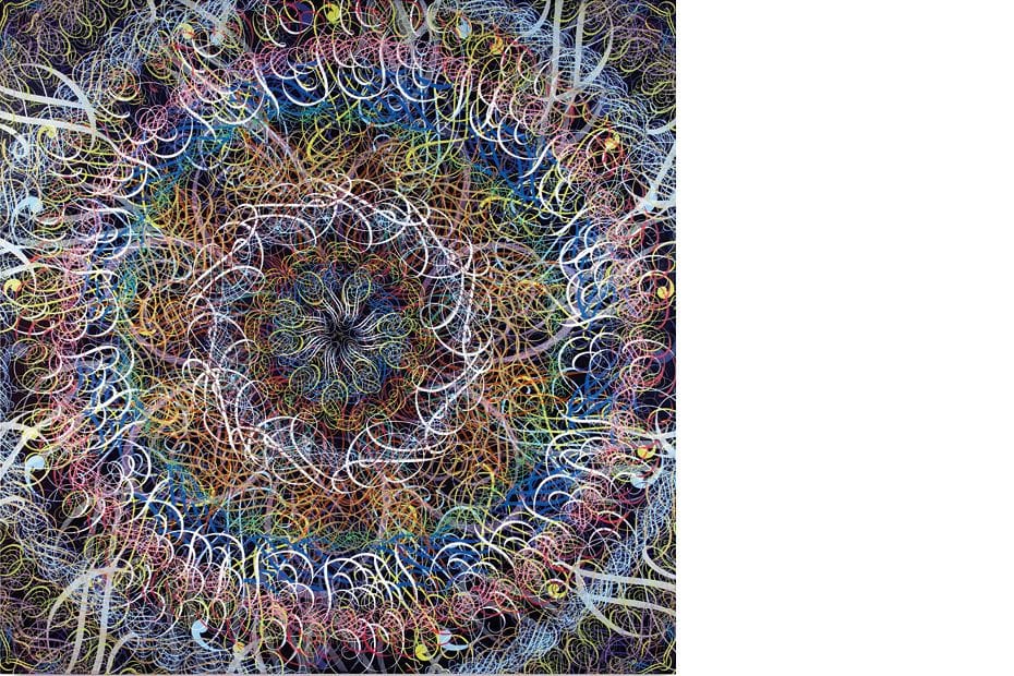 Artwork Title: An(n)us Mirabilis