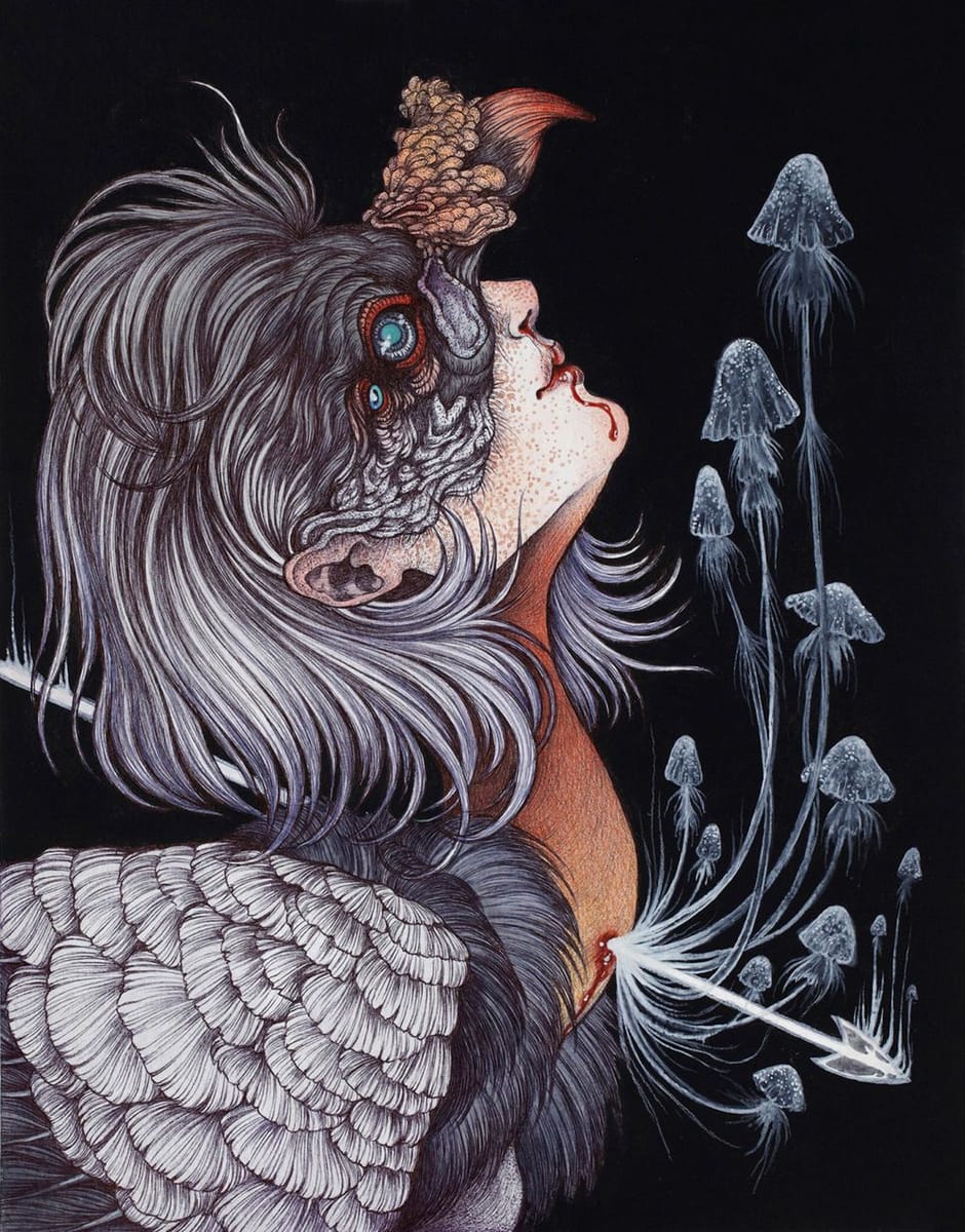 Artwork Title: The King Vulture's Queen