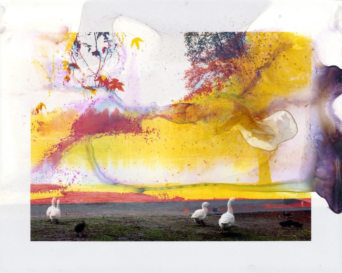 Artwork Title: Legg Lake, CA #1