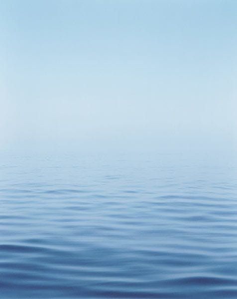 Artwork Title: Shiretoko #1