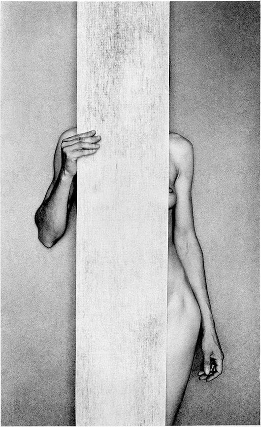 Artwork Title: Desnudo 52