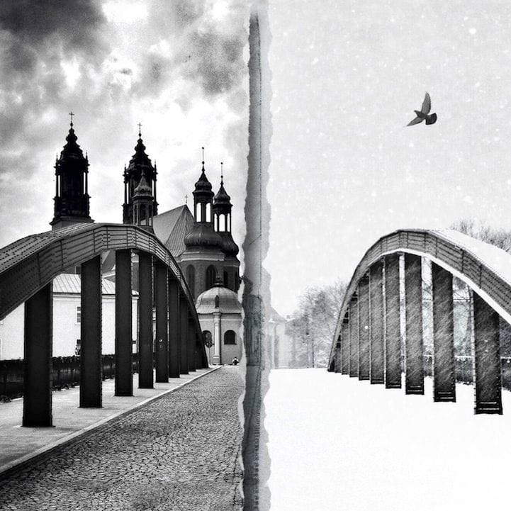 Artwork Title: Summer Winter