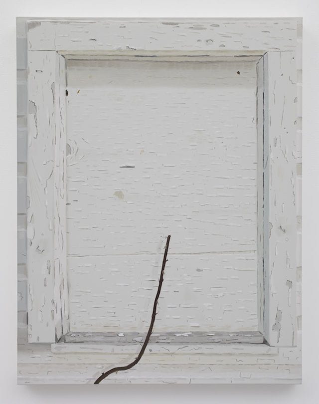 Artwork Title: Woodshed (Vine)