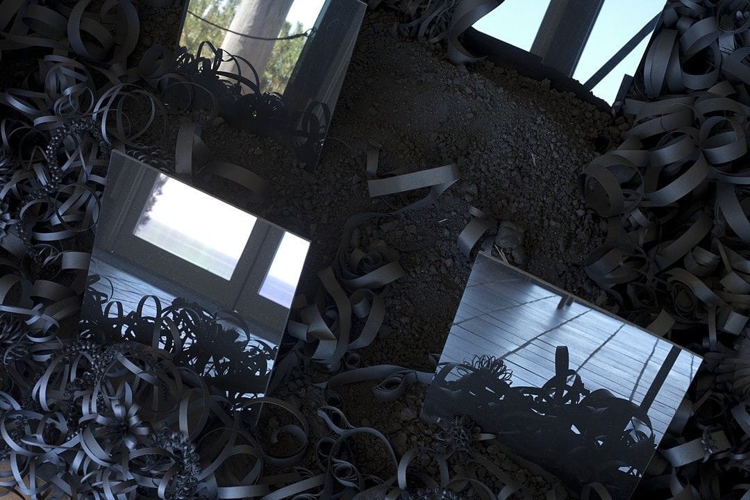 Artwork Title: Incidents of Garden Displacement