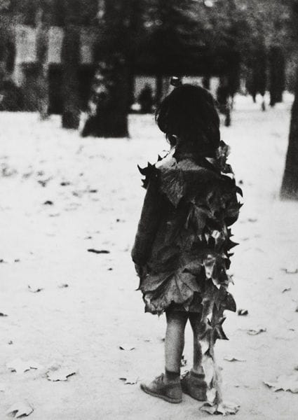 Artwork Title: La Petite Fille aux Feuilles Mortes