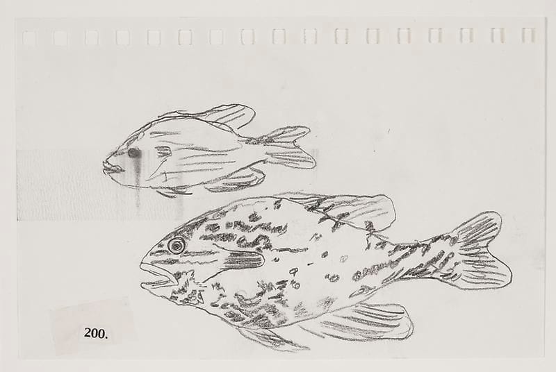 Artwork Title: Tennessee Fish