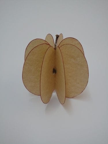 Artwork Title: Apple