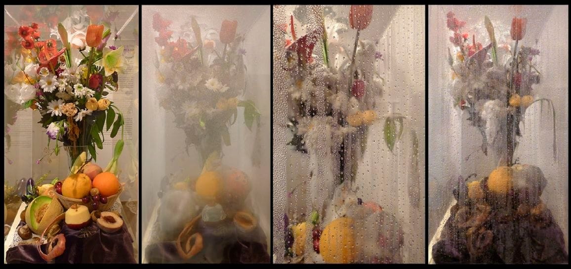 Artwork Title: Stop Motion