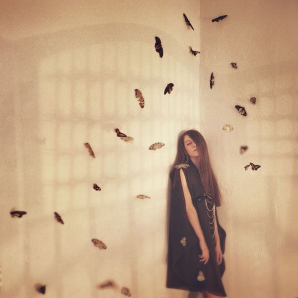Artwork Title: Butterfly Effect