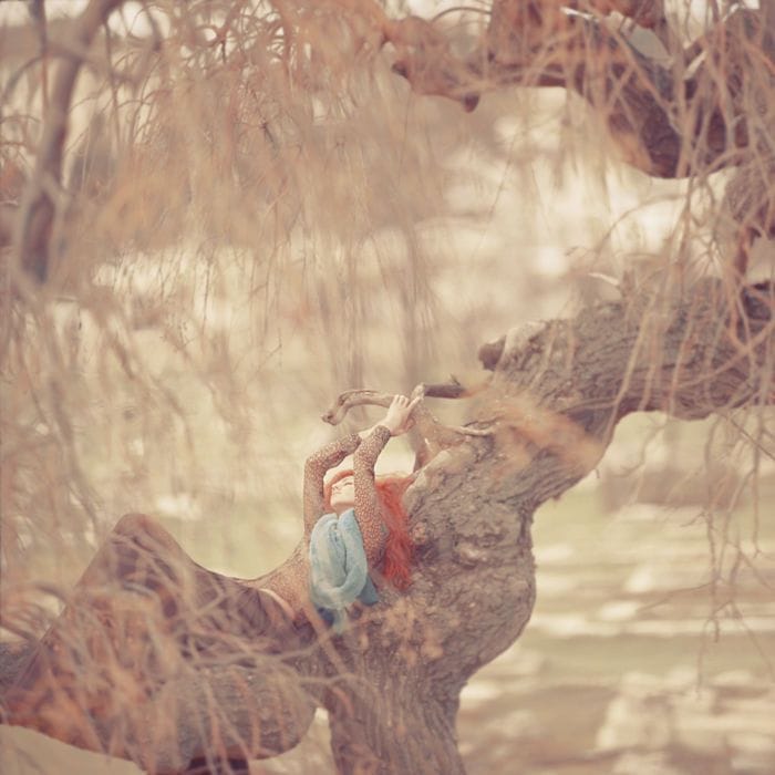 Artwork Title: Foxline