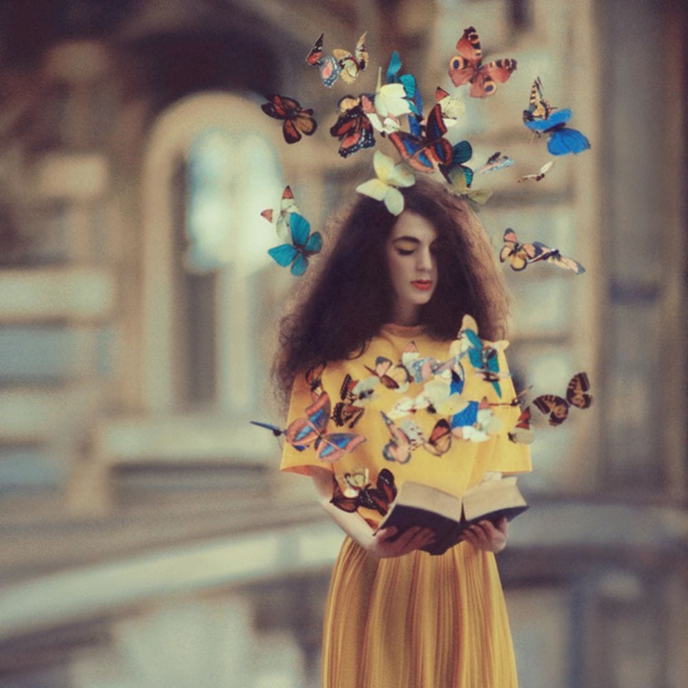 Artwork Title: Book of Butterflys