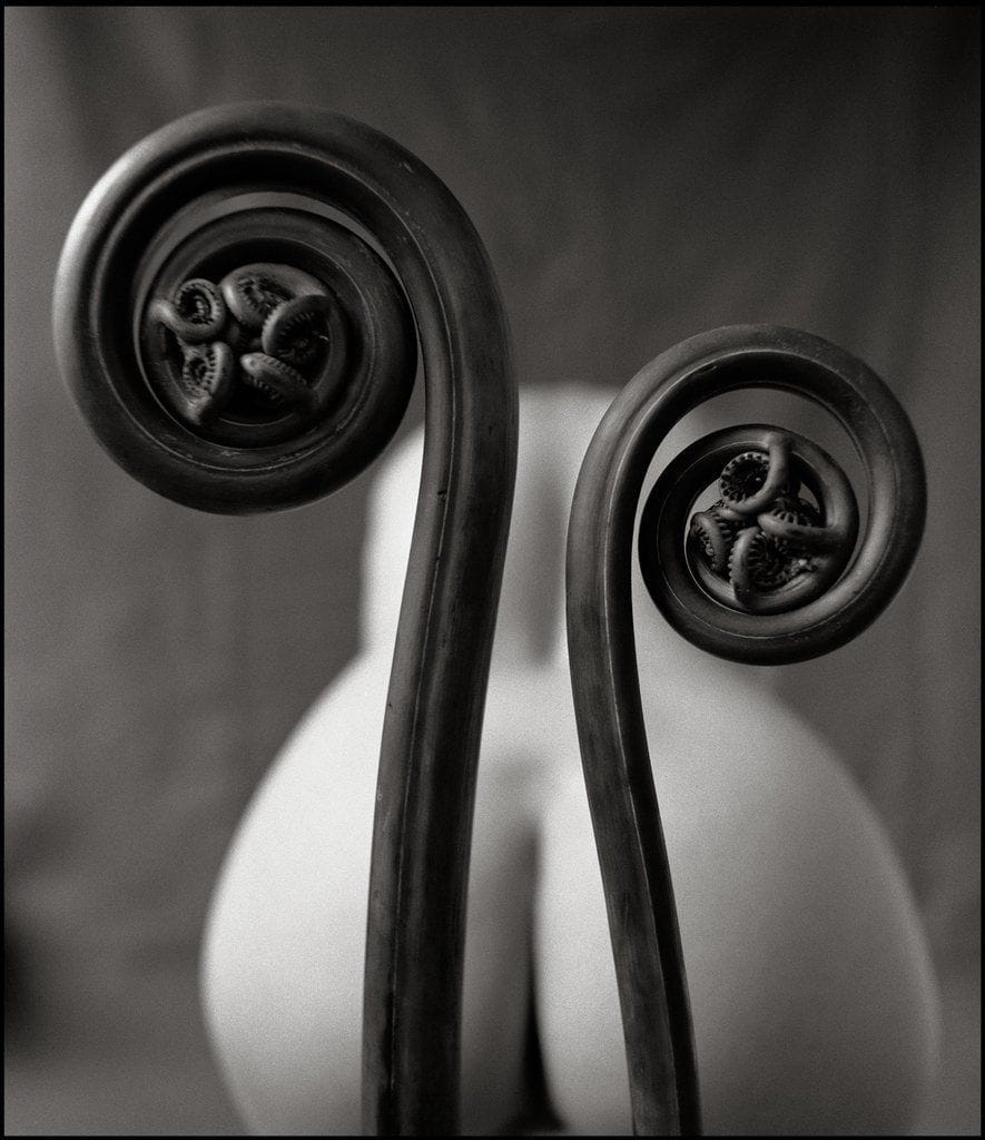 Artwork Title: undefined