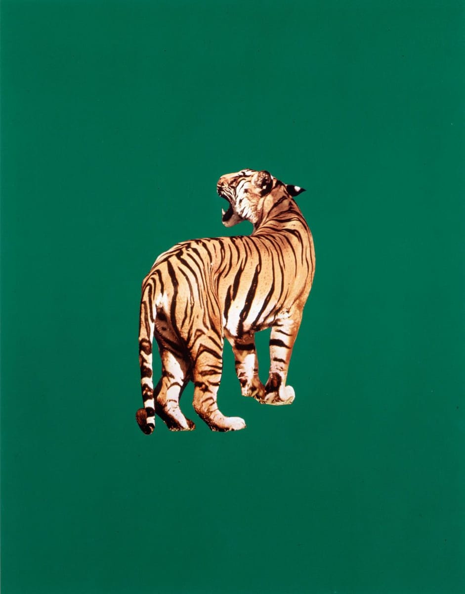 Artwork Title: Tiger