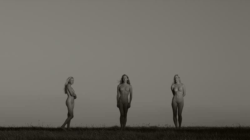 Artwork Title: Les Trois Grâces