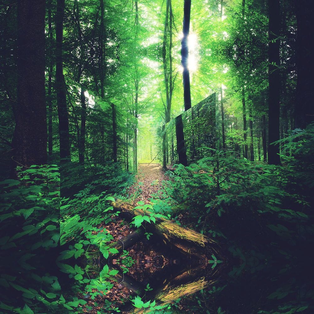 Artwork Title: undefined