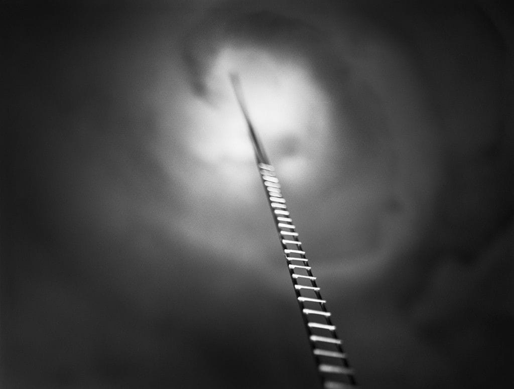 Artwork Title: Ladder