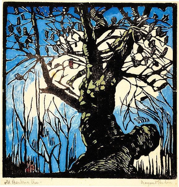Artwork Title: Old Banksia Tree