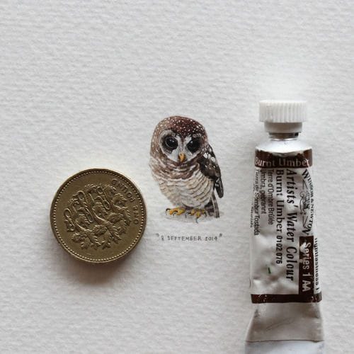 Artwork Title: 365 Postcards for Ants