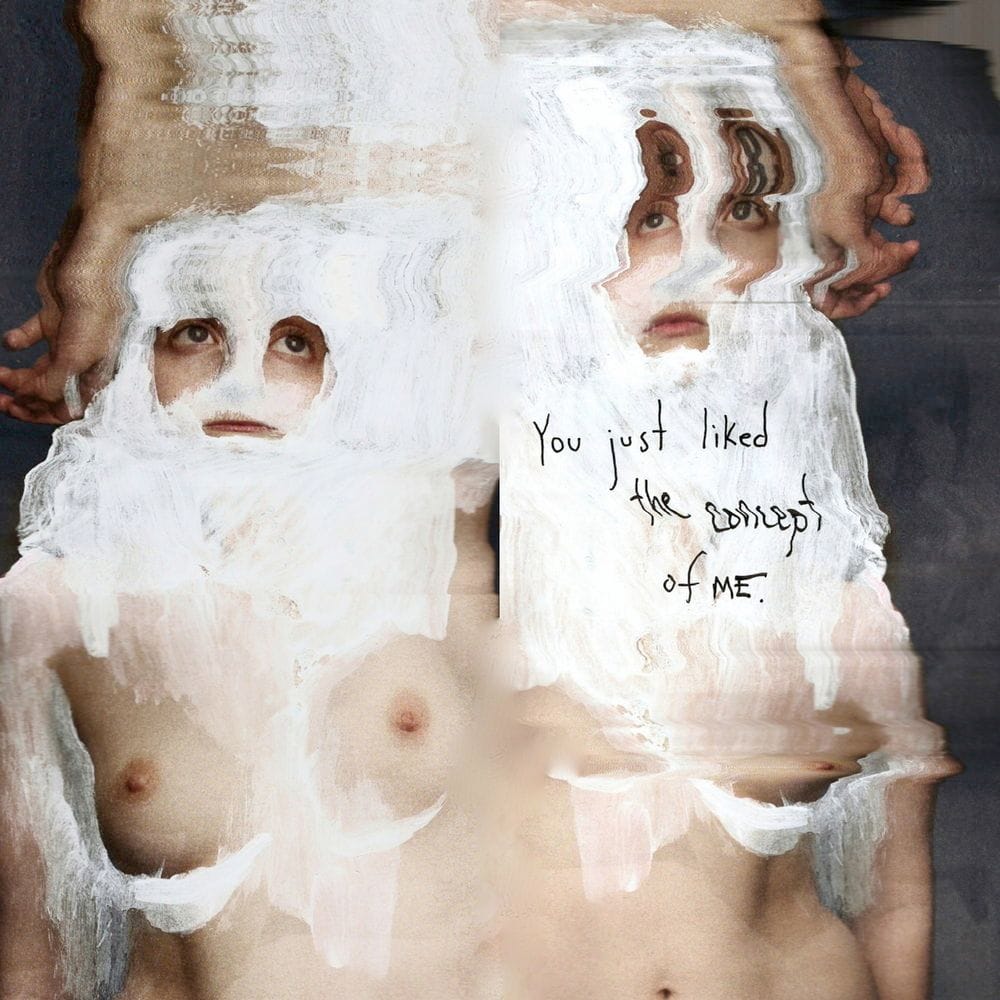 Artwork Title: You Just Liked the Concept of Me