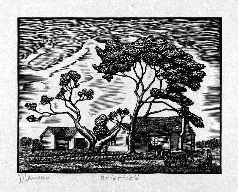 Artwork Title: Briarfield