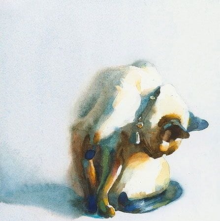 Artwork Title: Kwinto Washes Himself