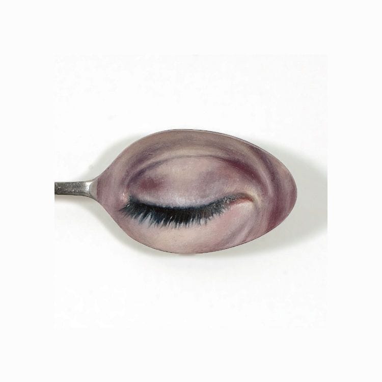 Artwork Title: Open and Shut