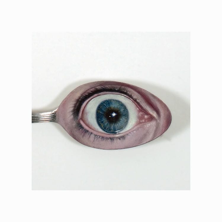 Artwork Title: Open and Shut