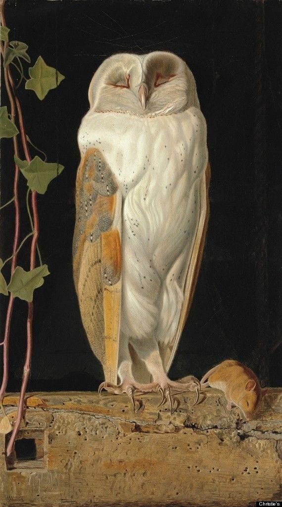 Artwork Title: The White Owl