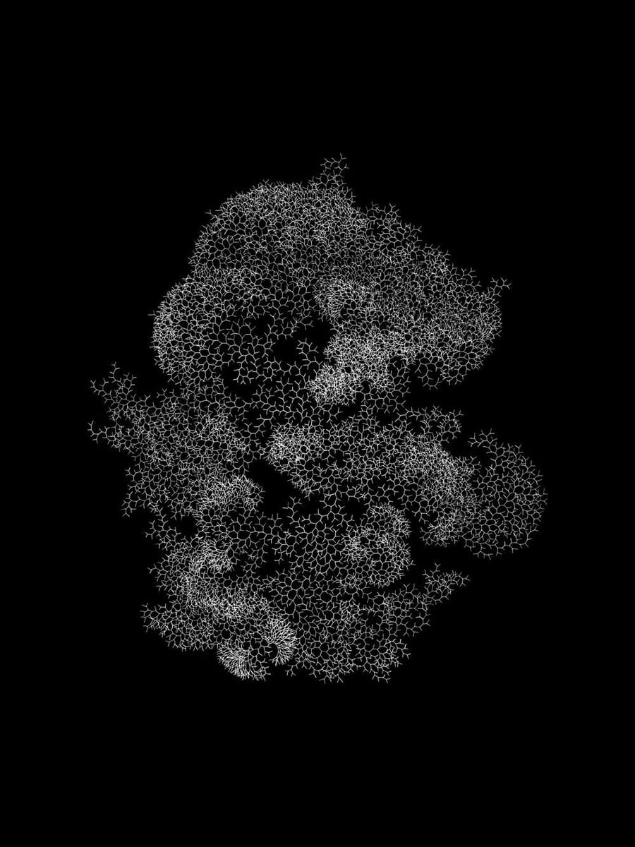 Artwork Title: Lifes n°5