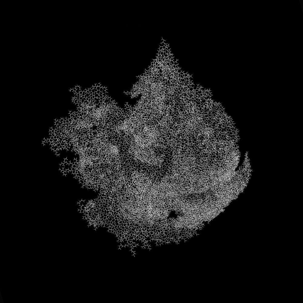 Artwork Title: Lifes n°3