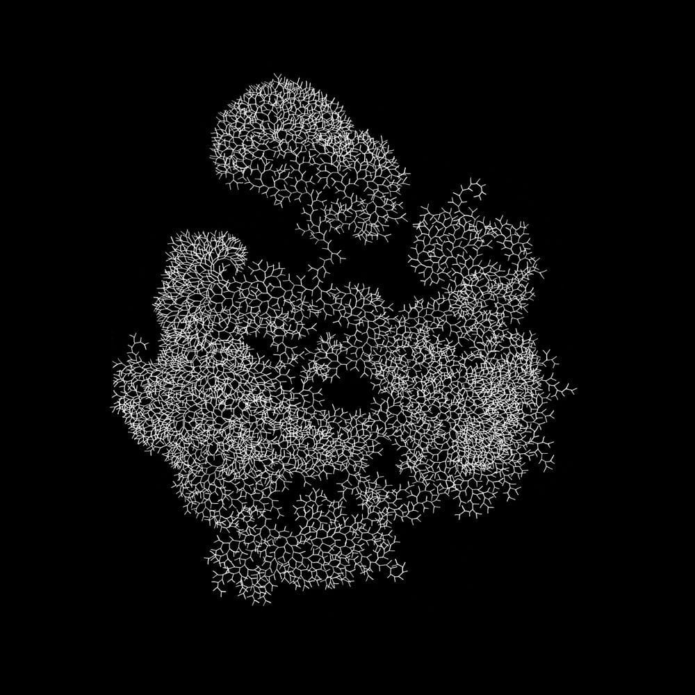 Artwork Title: Lifes n°4