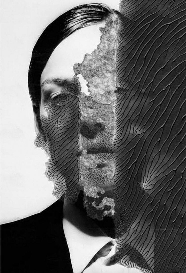 Artwork Title: undefined