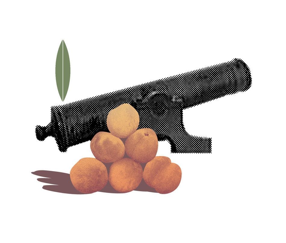Artwork Title: Peach Cannon