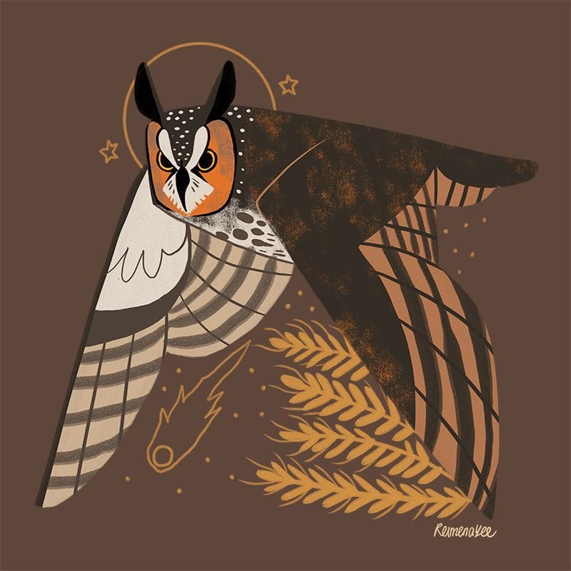 Artwork Title: Familiar | Long-eared Owl