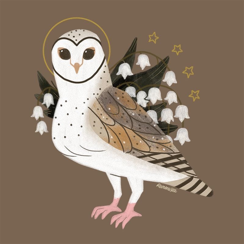 Artwork Title: Familiar | Barn Owl