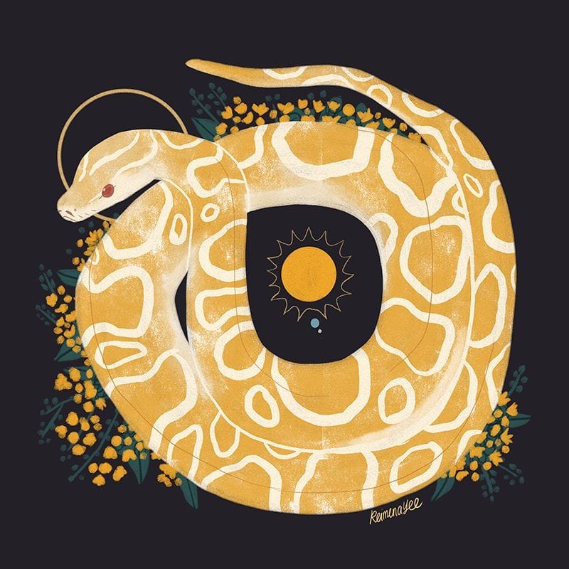 Artwork Title: Familiar | Burmese Python