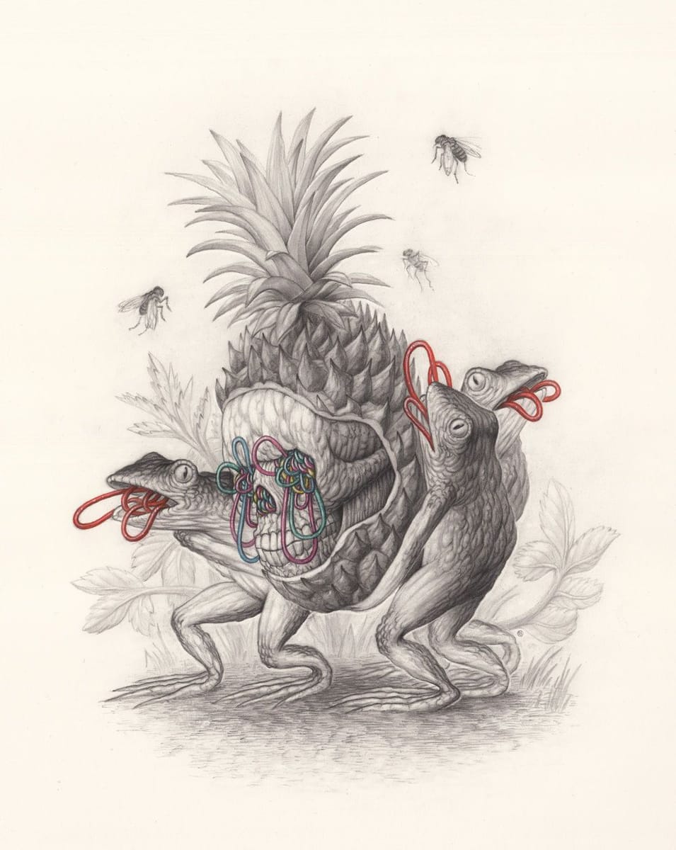 Artwork Title: The Pineapple