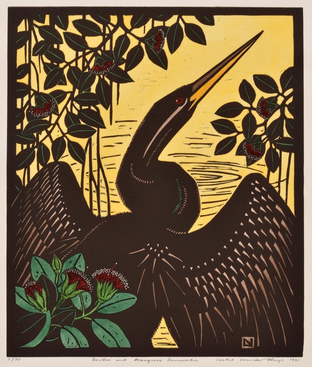 Artwork Title: Darter and Mangrove Sonneratia