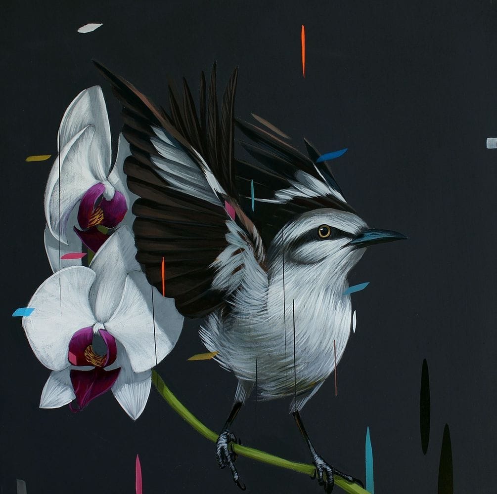 Artwork Title: Showoff