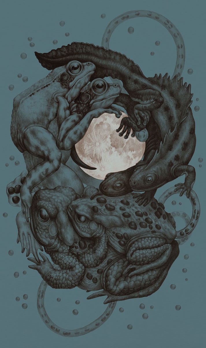 Artwork Title: Moon