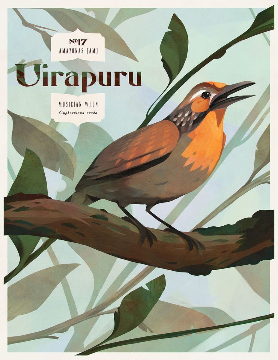 Artwork Title: Musician Wren / Uirapuru